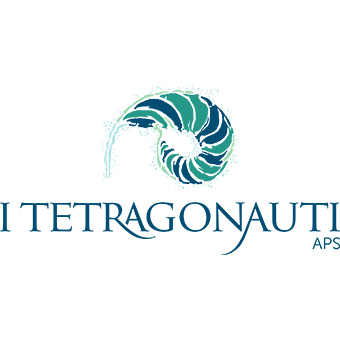 I Tetragonauti